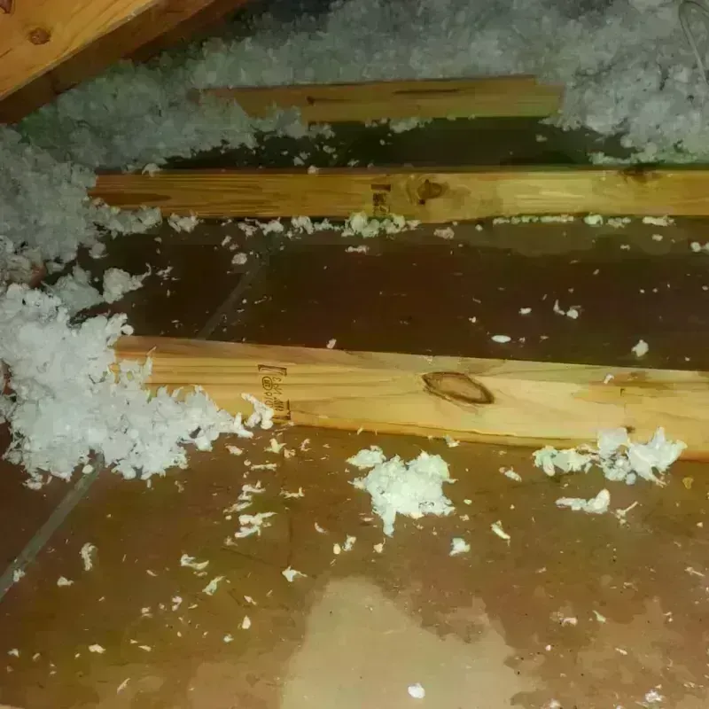 Attic Water Damage in Ralls County, MO